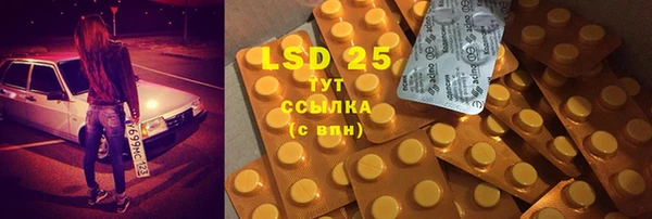 ГАЛЛЮЦИНОГЕННЫЕ ГРИБЫ Абаза