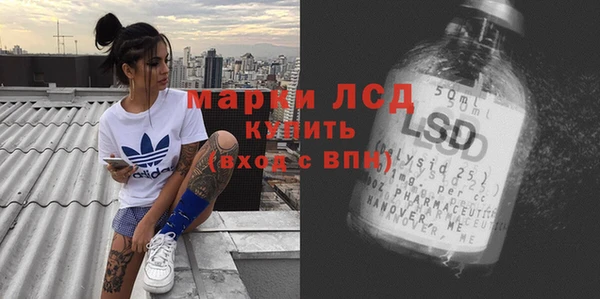 ГАЛЛЮЦИНОГЕННЫЕ ГРИБЫ Абаза