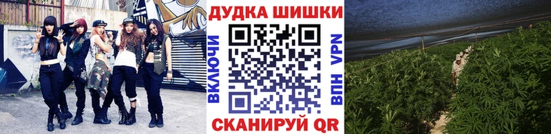 Шишки марихуана VHQ  ссылка на мегу как зайти  Балаково  хочу наркоту 